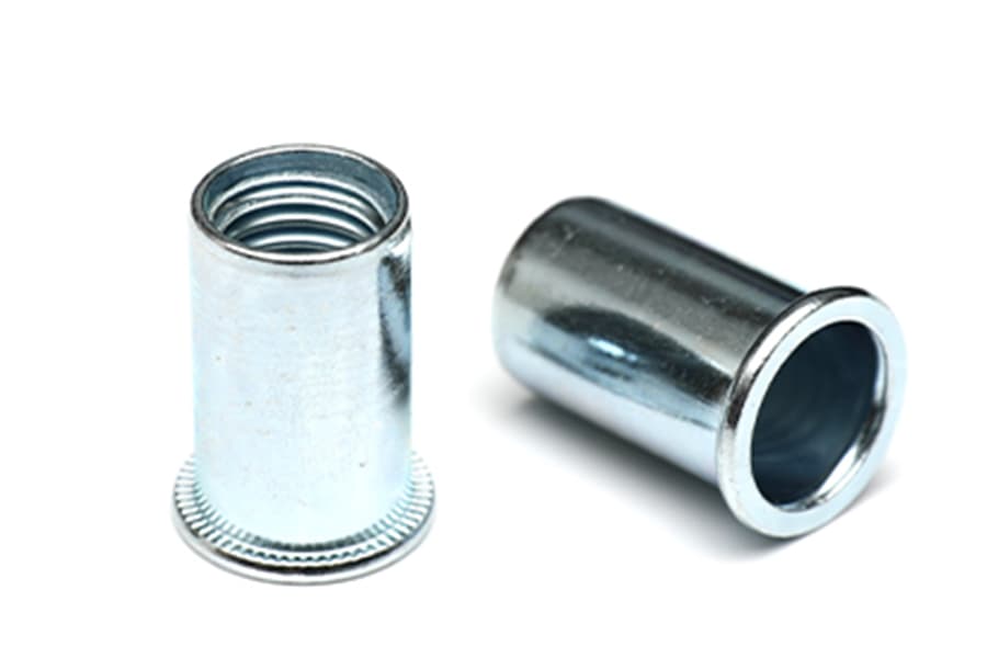 Flat Head Chrysanthemum