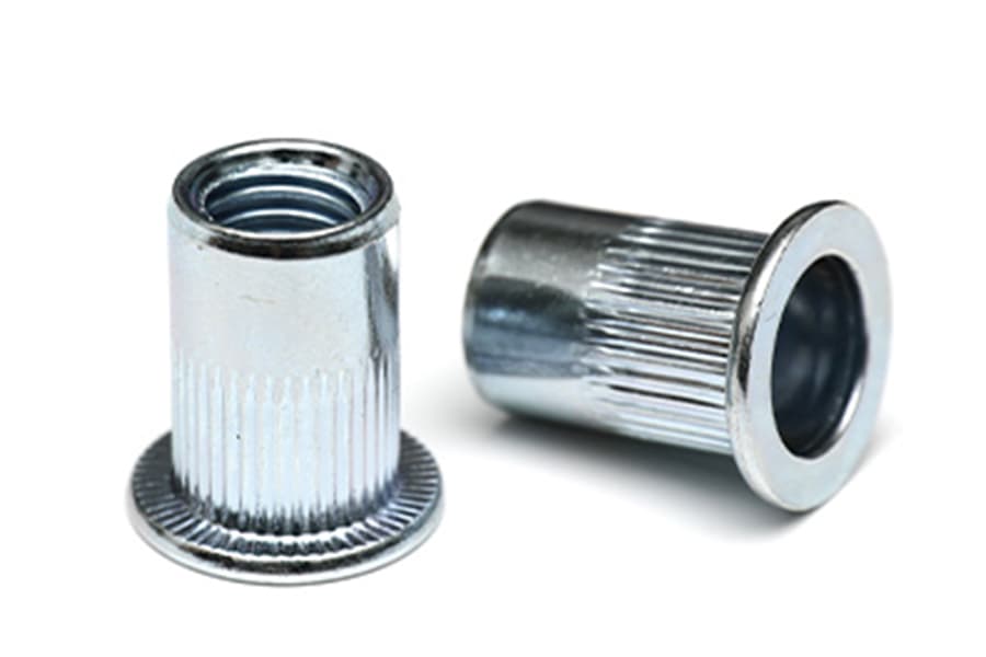 Flat Head Chrysanthemum Stripes