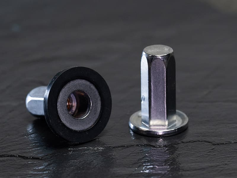 Sealed Nuts - DSC03070